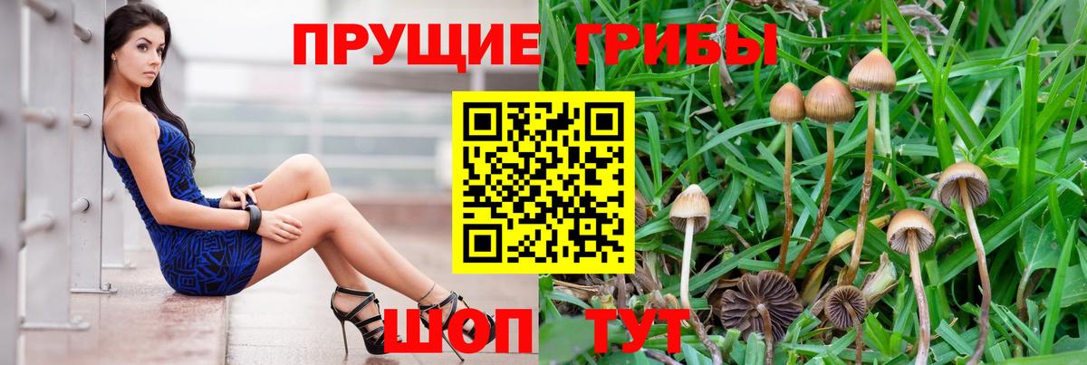 Троицк  Галлюциногенные грибы Psilocybe  Вход с VPN 